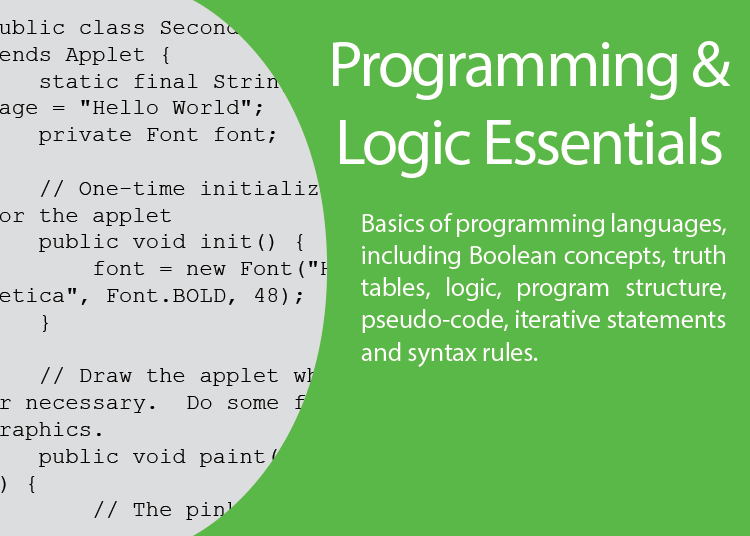 programing essentials